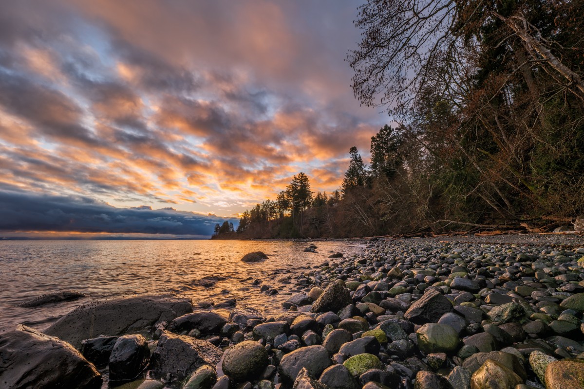 Cobble beach.