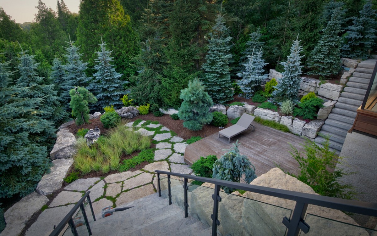 Natural backyard patio and landscape with stairs leading down.
