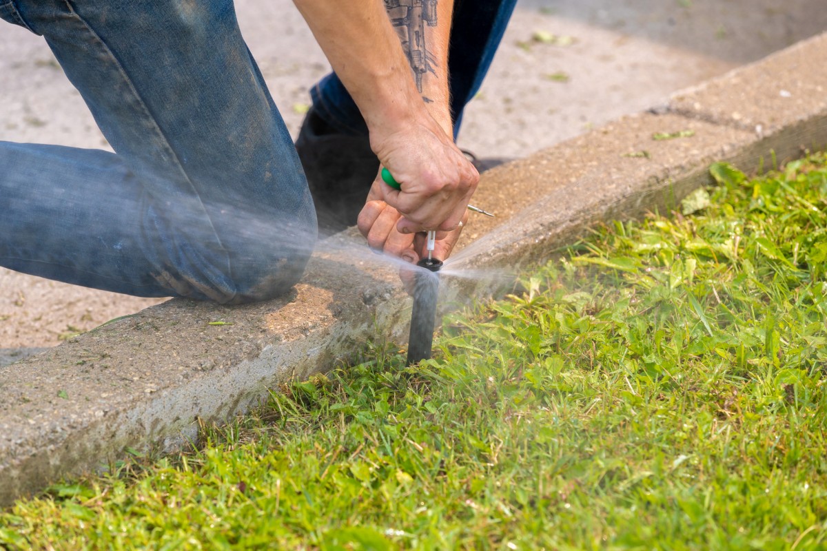 Installing irrigation