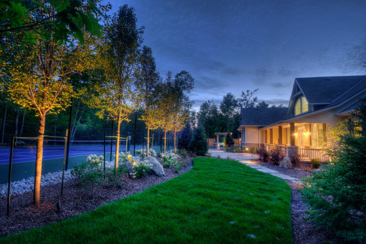 house with trees