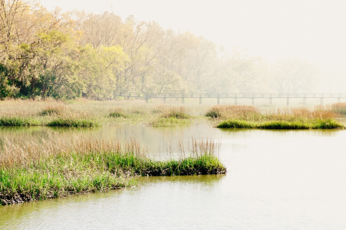 Coastal wetland.