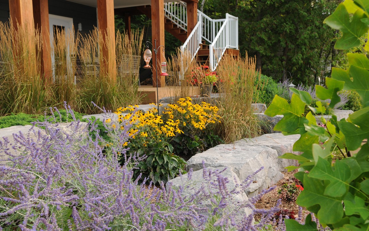 Close up of natural garden and grasses.